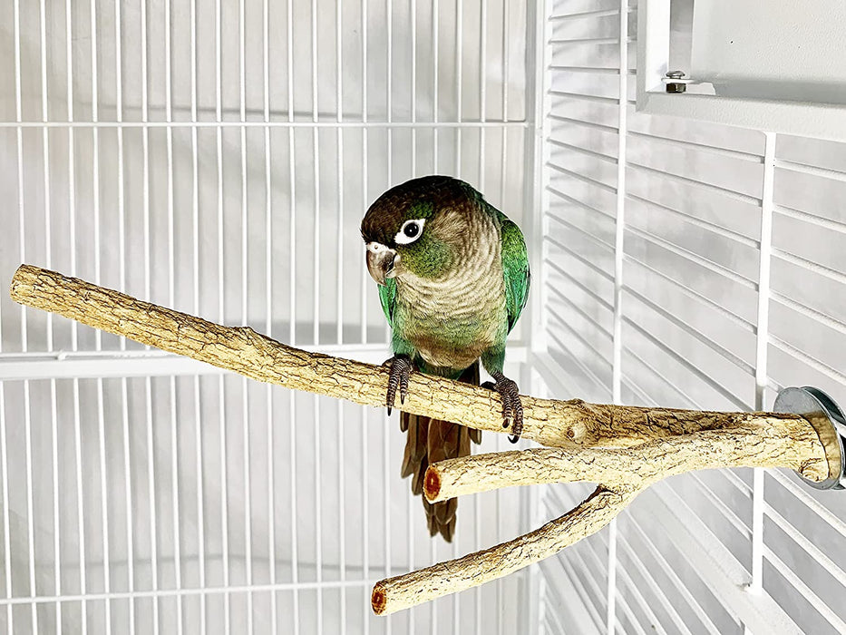 Small Bottlebrush Wood Cage Perch