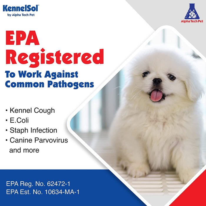 Kennelsol 1-Step Kennel Cleaner - Liquid Concentrate Disinfectant and Deodorizer, Effective against Bacteria and Viruses - 1 Pint