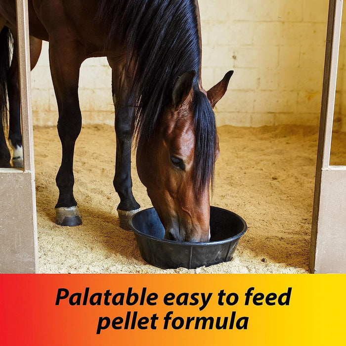 Farnam Pyrantel Care Daily Horse Dewormer 2.11% (Pyrantel Tartrate) for Horses of All Ages, Equine Anthelmintic, Continuous Protection against Small Stronglyes, Ascardis and Pinworms, 50 Lbs