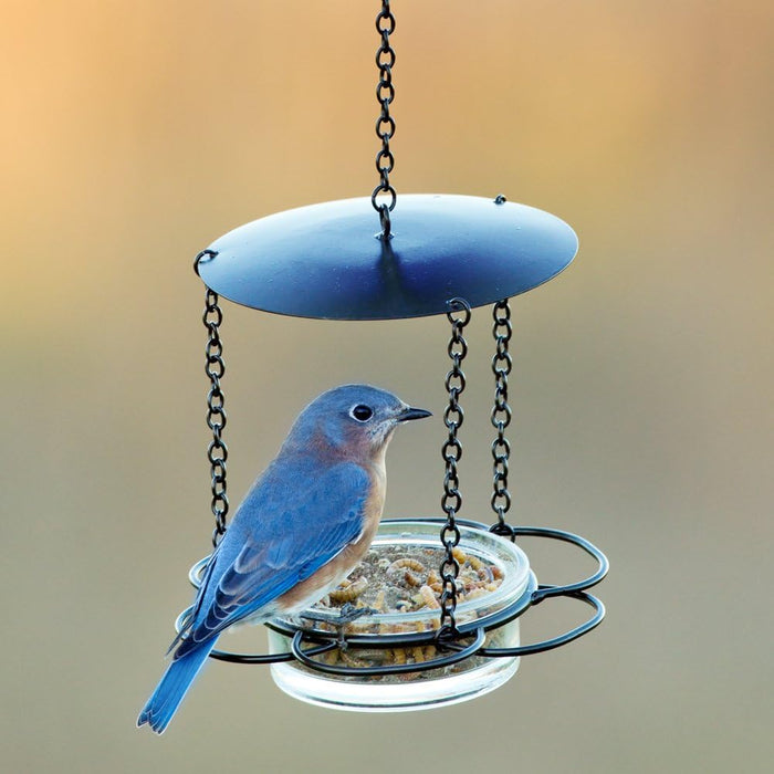 Mosaic Birds M446-200-06 Floral Bird Feeder Red