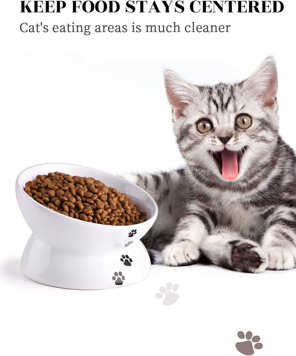 Cat Bowl anti Vomiting, Raised Cat Food Bowls, Tilted Elevated Cat Bowl, Ceramic Pet Food Bowl for Flat Faced Cats, Small Dogs, Protect Pet'S Spine, Dishwasher Safe
