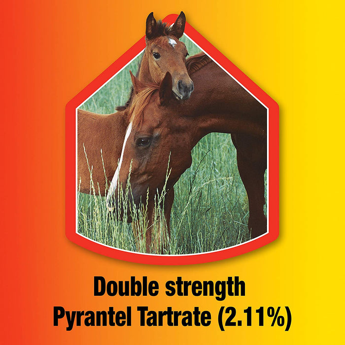 Farnam Pyrantel Care Daily Horse Dewormer 2.11% (Pyrantel Tartrate) for Horses of All Ages, Equine Anthelmintic, Continuous Protection against Small Stronglyes, Ascardis and Pinworms, 50 Lbs