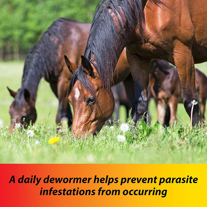 Farnam Pyrantel Care Daily Horse Dewormer 2.11% (Pyrantel Tartrate) for Horses of All Ages, Equine Anthelmintic, Continuous Protection against Small Stronglyes, Ascardis and Pinworms, 50 Lbs