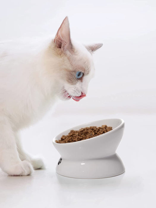 Cat Bowl anti Vomiting, Raised Cat Food Bowls, Tilted Elevated Cat Bowl, Ceramic Pet Food Bowl for Flat Faced Cats, Small Dogs, Protect Pet'S Spine, Dishwasher Safe