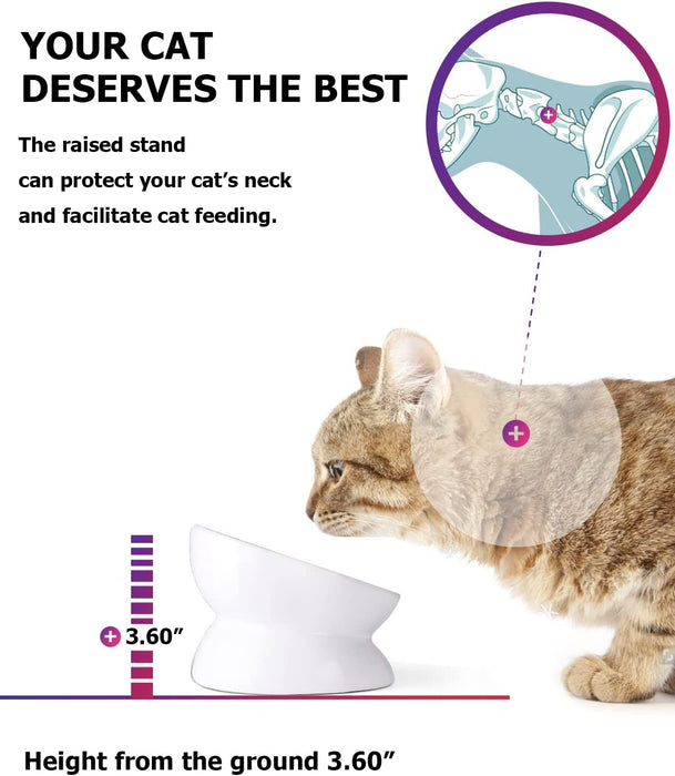 Cat Bowl anti Vomiting, Raised Cat Food Bowls, Tilted Elevated Cat Bowl, Ceramic Pet Food Bowl for Flat Faced Cats, Small Dogs, Protect Pet'S Spine, Dishwasher Safe
