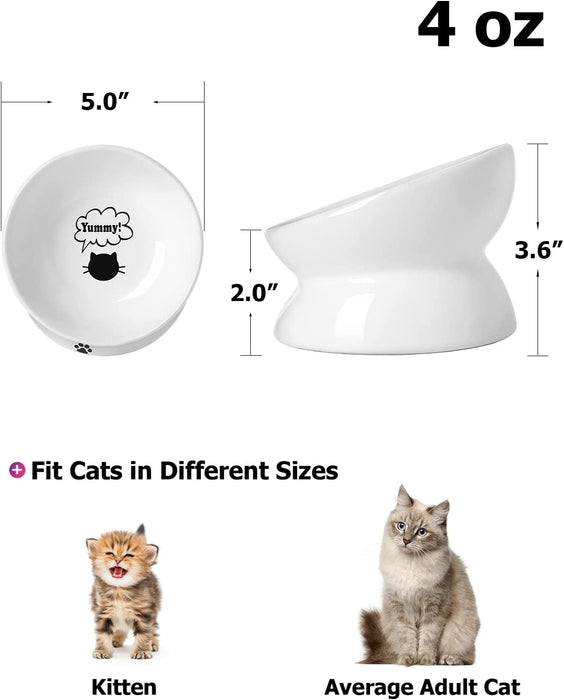 Cat Bowl anti Vomiting, Raised Cat Food Bowls, Tilted Elevated Cat Bowl, Ceramic Pet Food Bowl for Flat Faced Cats, Small Dogs, Protect Pet'S Spine, Dishwasher Safe
