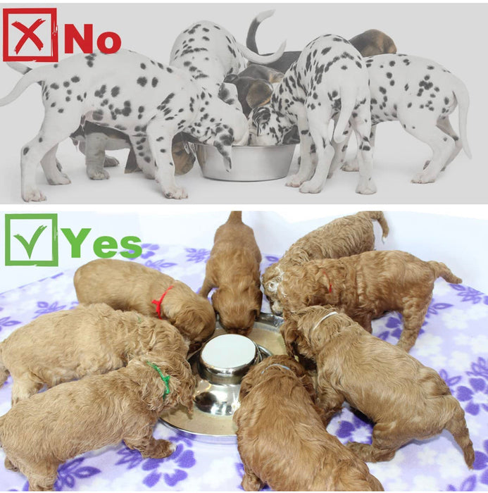 Stainless steel puppy food bowls