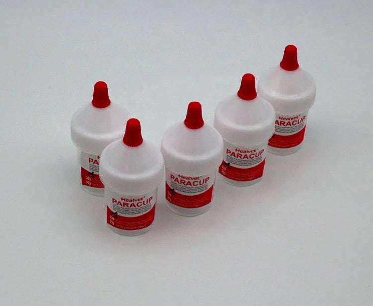 Microscope Parisitology (Fecal Test)