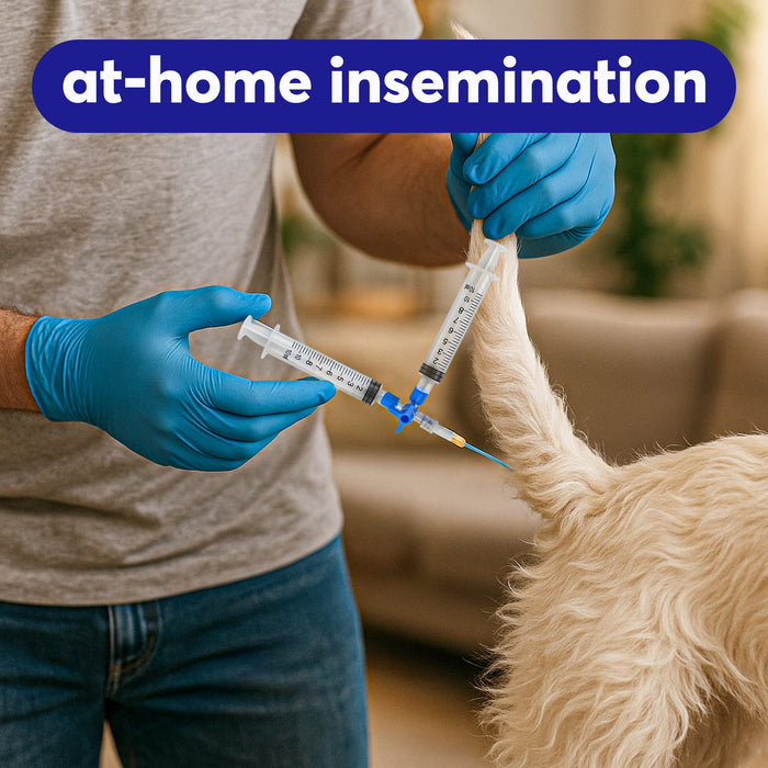 3-Way Canine Breeding Kit – Complete Set for Semen Collection and Insemination with Collection Cones, Insemination Rods, Syringes, Tubes, Gloves, Valves & Lubricating Jelly