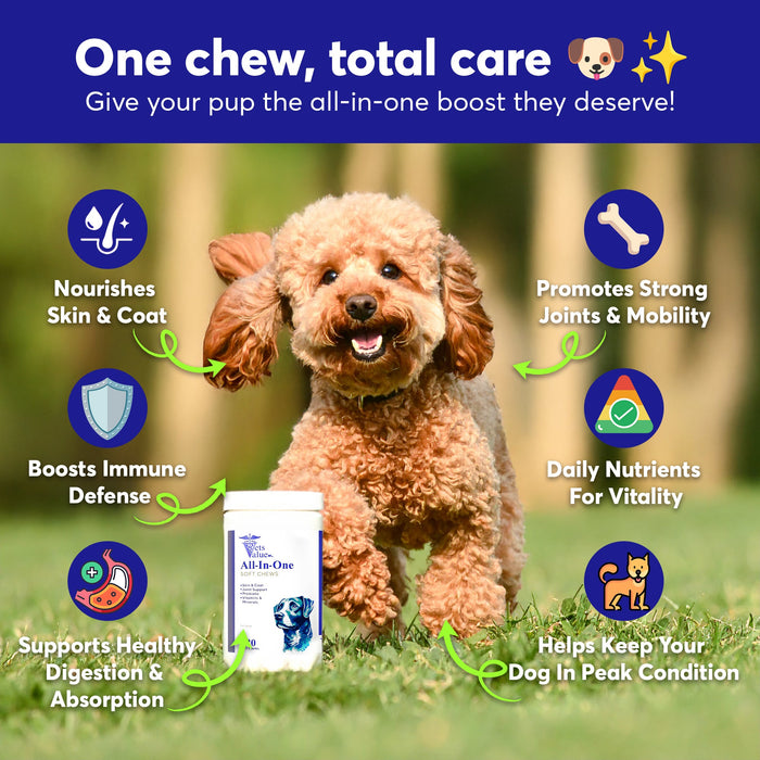 Dog Multivitamin Chews (120 Soft Chews) - All-in-One Vitamins for Dogs of All Ages, Sizes & Breeds | Supports Immunity, Digestive Health, Skin, Coat Joint Health with Glucosamine, Omega Fatty Acids