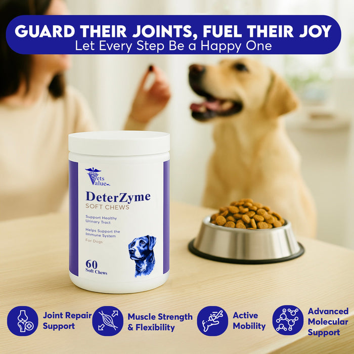 DeterZyme Stool Eating Deterrent for Dogs – 60 Soft Chews – Helps Discourage Stool Consumption – with Digestive Enzymes, Prebiotics, and Natural Herbal Blend – Supports Gut Health & Breath Freshening