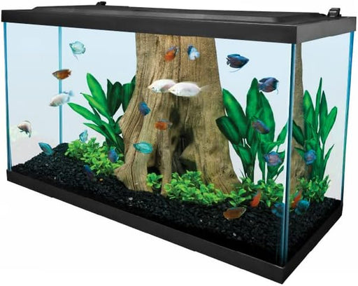 Tetra Complete LED Aquarium 29 Gallons, Includes LED Lighting, Filtration, Heater and Accessories
