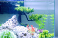 HITOP Aquarium Pets Plastic Plants for Fish Tank Decorations, Artificial Pine Tree Aquarium Décorfor Fish or Reptile
