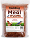 1 Lb Dried Mealworms - High Protein Treat for Wild Birds, Chicken, Fish & Reptiles