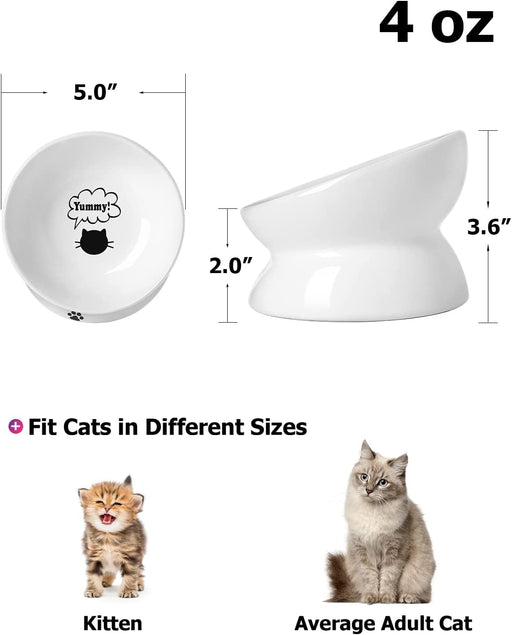 Cat Bowl anti Vomiting, Raised Cat Food Bowls, Tilted Elevated Cat Bowl, Ceramic Pet Food Bowl for Flat Faced Cats, Small Dogs, Protect Pet'S Spine, Dishwasher Safe