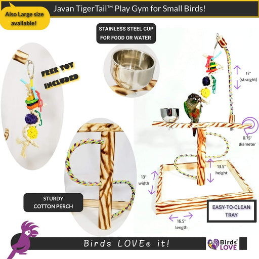 Bird Play Gym Tabletop W Cup, Toy Hanger and Toy, Javan Tigertail Stand - Small